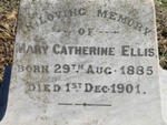ELLIS Mary Catherine 1885-1901