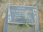 EGNER Anna Hendrina Sophia geb. VAN SCHALKWYK 1893-1982