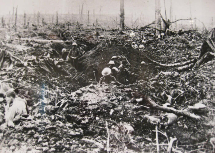 7. View of Delville Wood during the First World War
