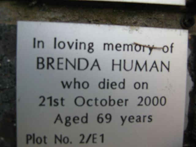 HUMAN Brenda -2000