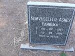 PAMBUKA Nomvuselelo Agnes 1967-1996
