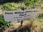 PIJOOS Pieter Willem 1931-2000
