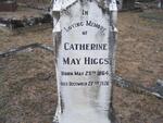 HIGGS Catherine May 1864-1926