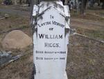 HIGGS William 1864-1942