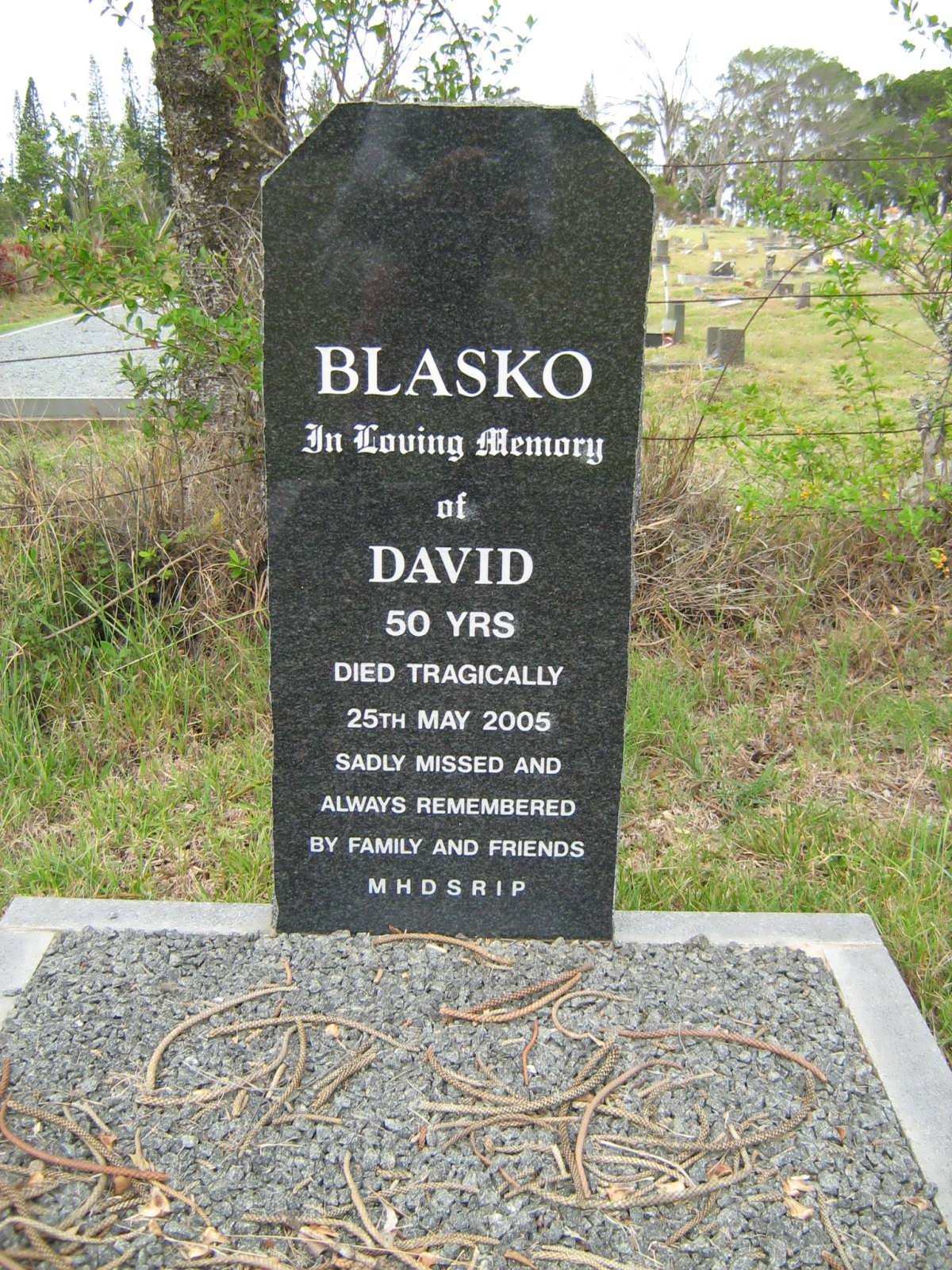 BLASKO David -2005