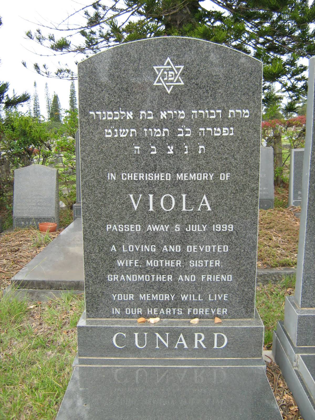 CUNARD Viola -1999