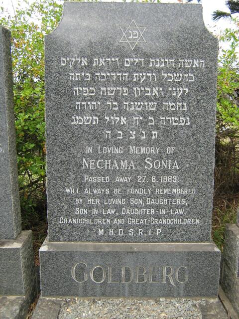GOLDBERG Nechama Sonia -1983