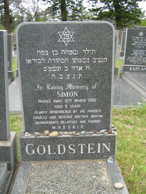 GOLDSTEIN Simon -1989 