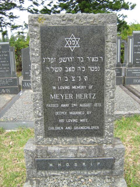 HERTZ Meyer -1975