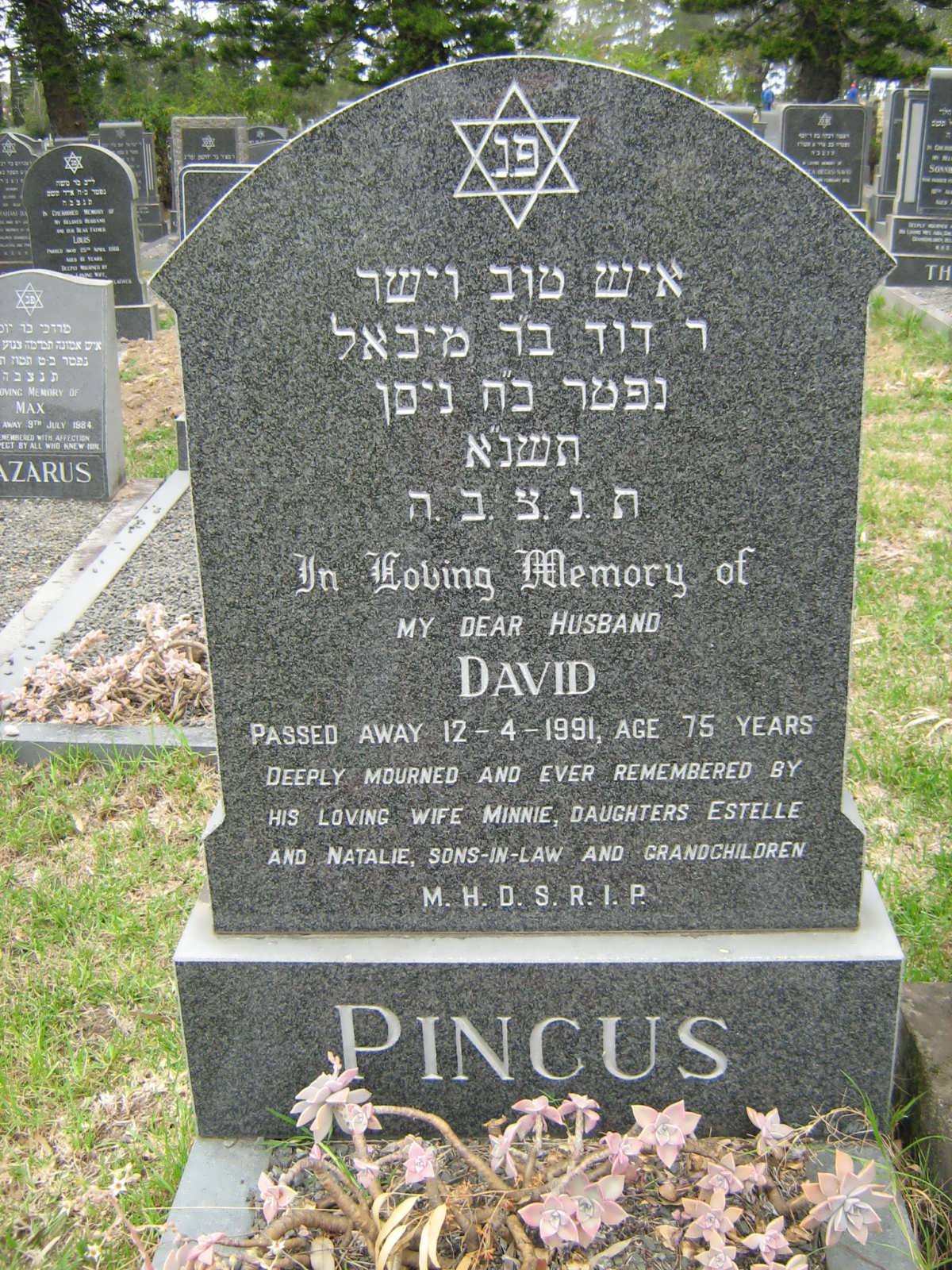 PINCUS David -1991 