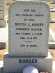 BURGER Hester S., formerly KAMFER, nee VISSER 1886-1977
