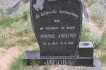 JACOBS Antonie Josefius 1954-1983