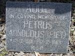 AUDIE Petrus Arnoldus 1913-1989