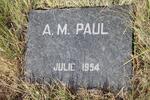 PAUL A.M. -1954
