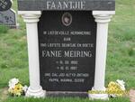 MEIRING Fanie 1992-1997