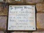 DUNNING Noel Ashburton 1900-1971 &  Alice Constance 1899-1969