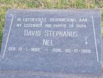 NEL David Stephanus 1892-1968