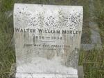 MORLEY Walter William 1856-1932