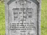 DANA James Weir 1880-1931