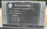 BADENHORST Barrie 1933-1993