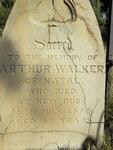 WALKER Arthur -1872