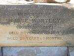 WORTLEY Alice nee MURRAY -1881