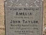 TAYLOR John 1853-1934 & Amelia 1851-1921 :: TAYLOR Andrew -1938