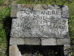 TAUTE André 1966-2002