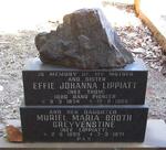 LIPPIATT Effie Johanna nee THOM 1874-1966 :: GREYVENSTINE Muriel Maria Booth nee LIPPIATT 1899-1971 