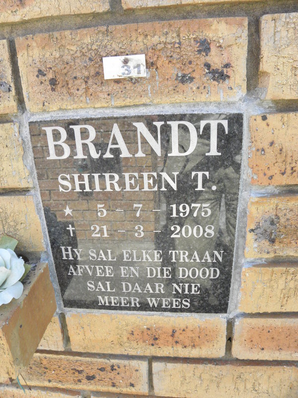 BRANDT Shireen T. 1975-2008