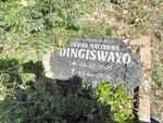 DINGISWAYO Anathi Matthews 2006-2006
