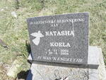 KOELA Natasha 2002-2004