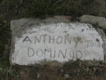 DOMINGO Anthony