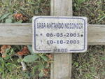 NDZONDZA Baba Antando 2005-2005