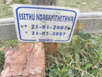 NDABAYITHETHWA Esethu 2007-2007