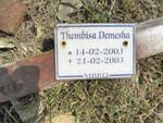 DEMESHA Thembisa 2003-2003