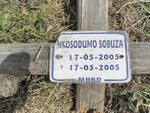 SOBUZA Nkosodumo 2005-2005