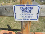 DYONASE Lwandiswo 2010-2010