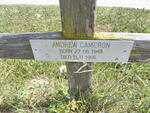 CAMERON Andrew 1948-1995