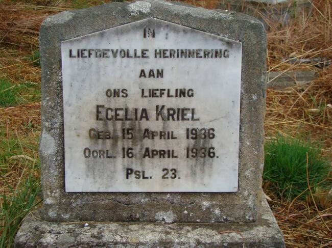 KRIEL Ecelia 1936-1936