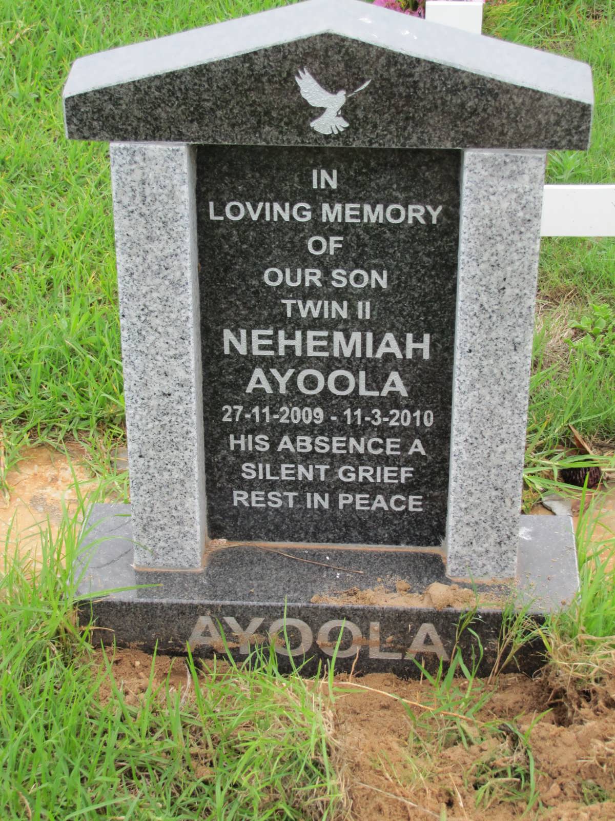 AYOOLA Nehemiah 2009-2010