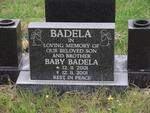 BADELA 2001-2001