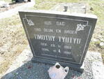TYUYTYU Timothy 1953-1980
