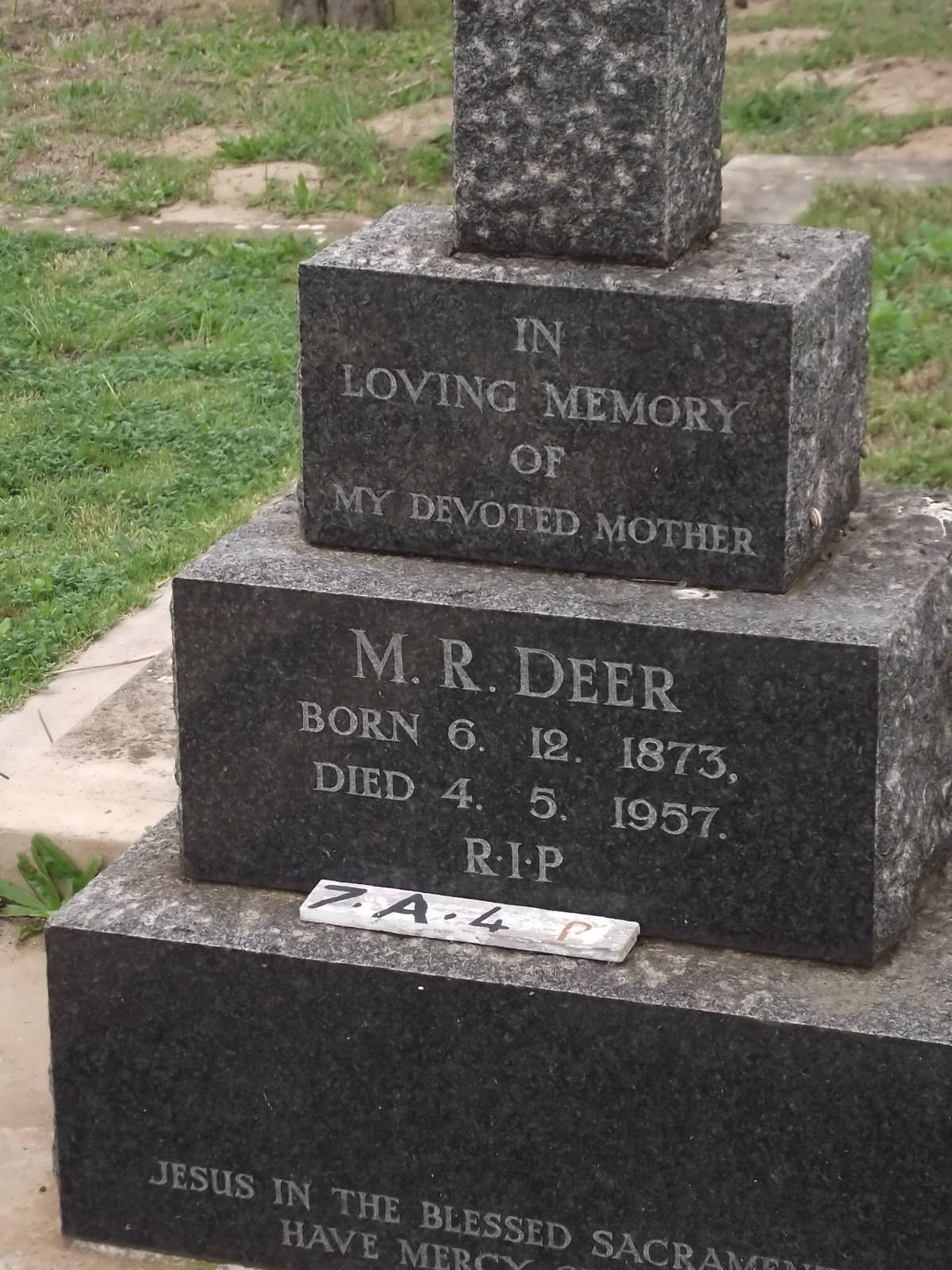DEER M.R. 1873-1957