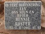 KOSTER Hennie 1982-2002