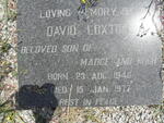 LOXTON David 1946-1977