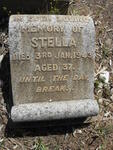 ? Stella -1943
