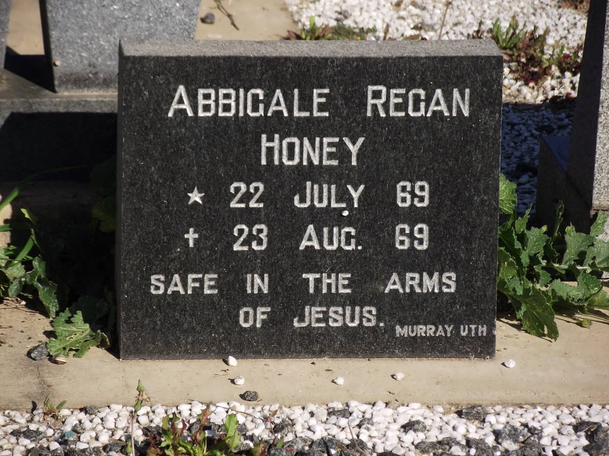 HONEY Abbigale Regan 1969-1969