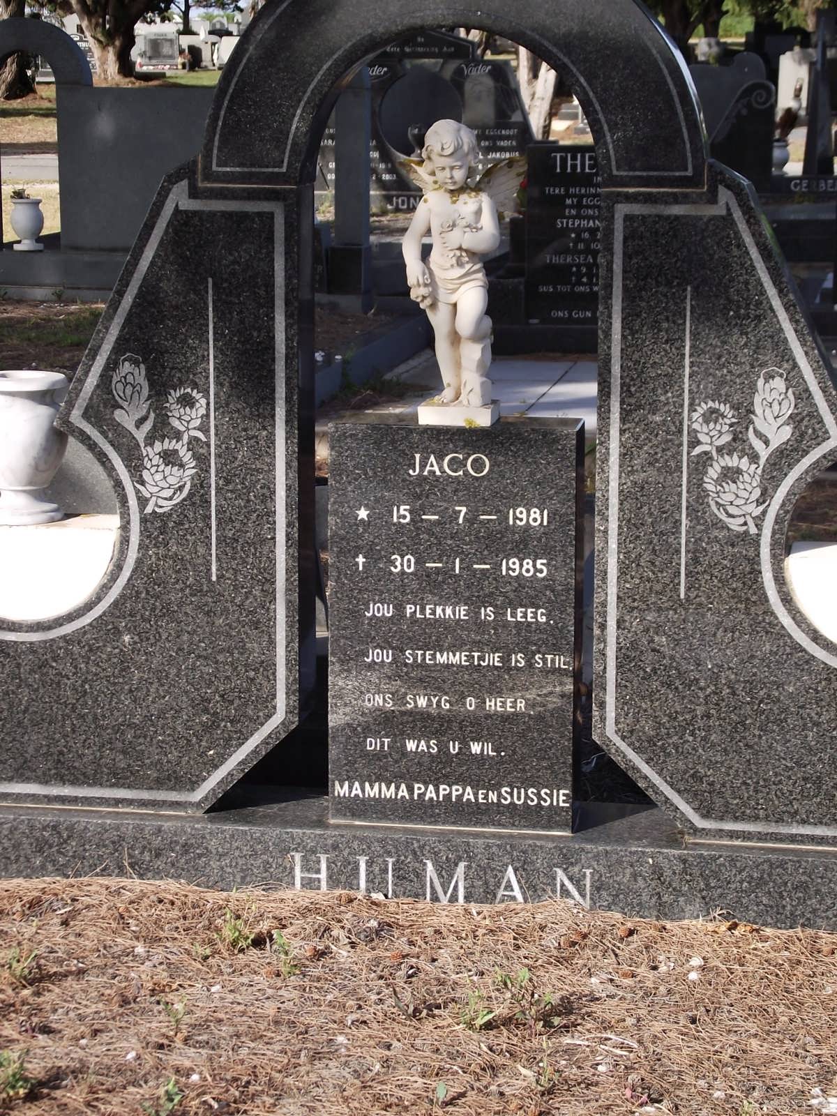 HUMAN Jaco 1981-1985