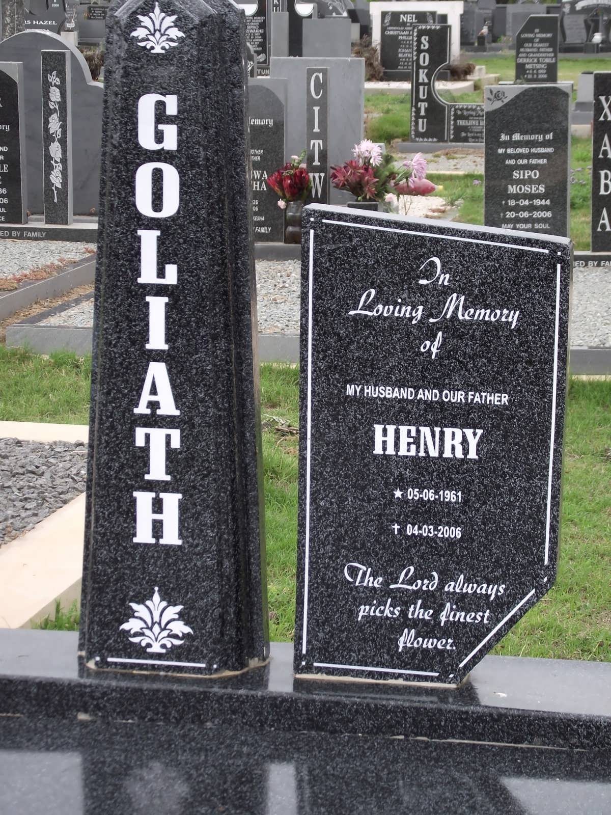 GOLIATH Henry 1961-2006